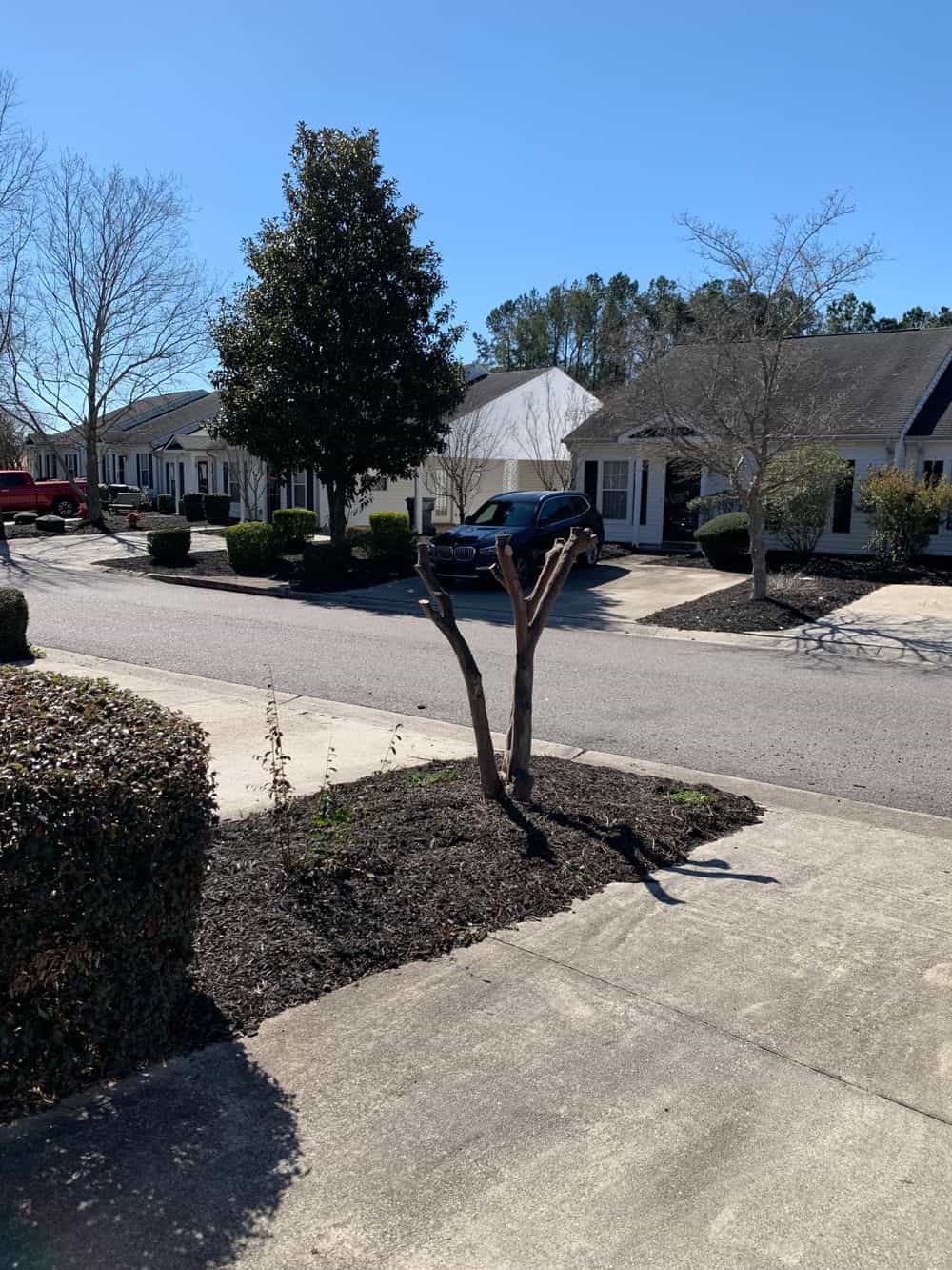 Hero image for Green Relief Landscaping