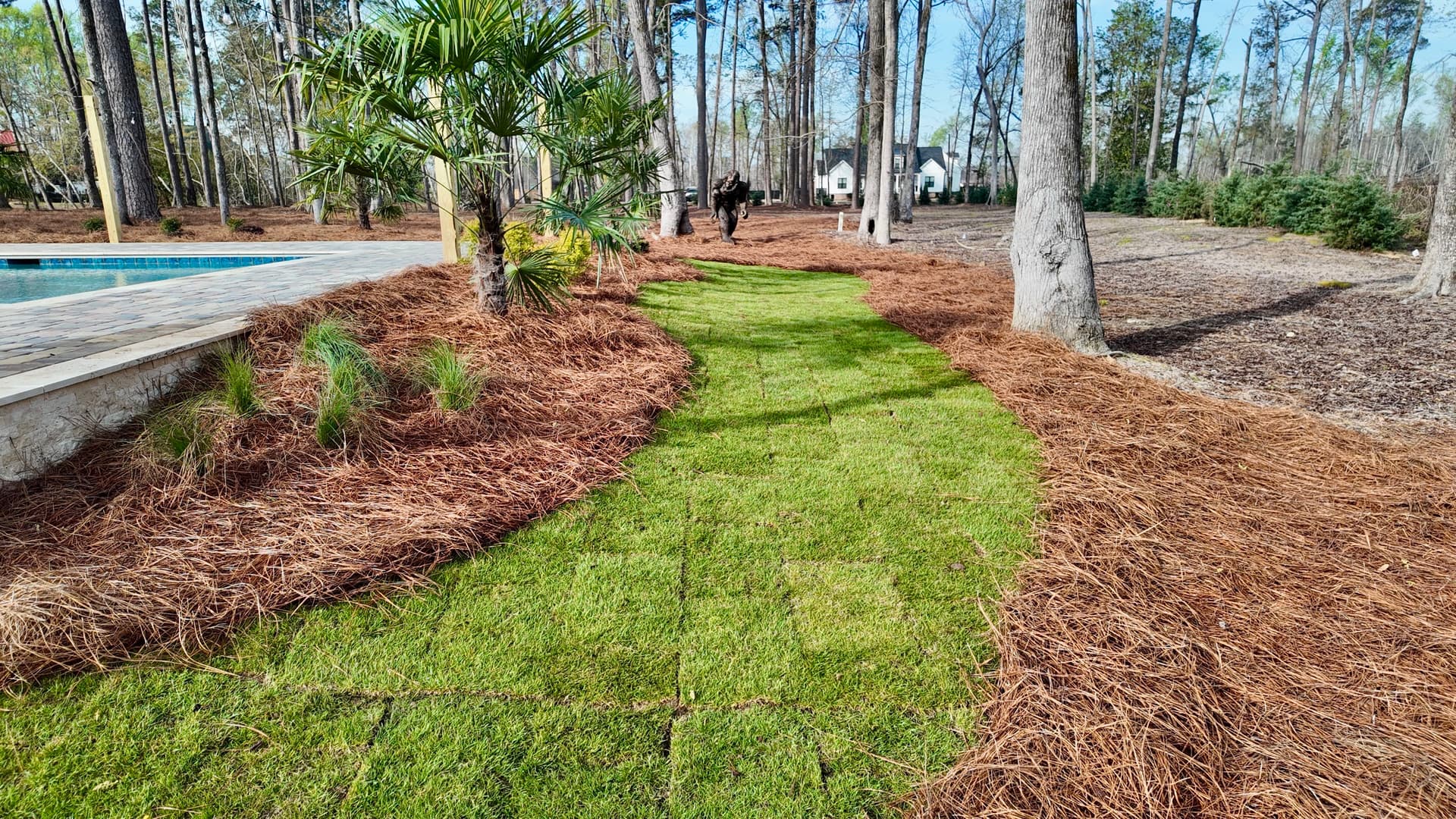 Gallery photos for Elevating Poolside Spaces with Lush Landscapes: Image #2
