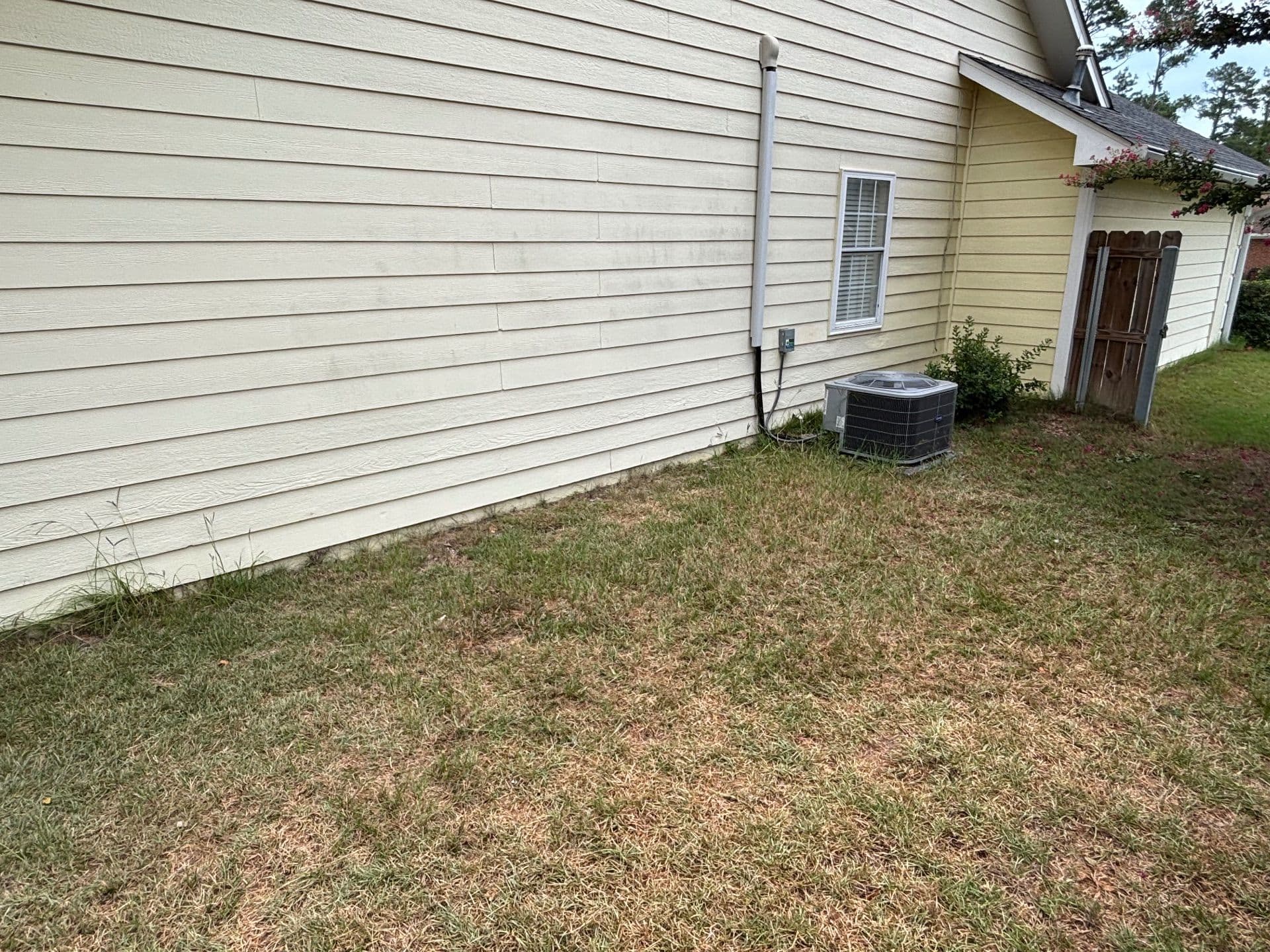 Gallery photos for Transforming Backyards with Elegant Mulch Beds: Image #3