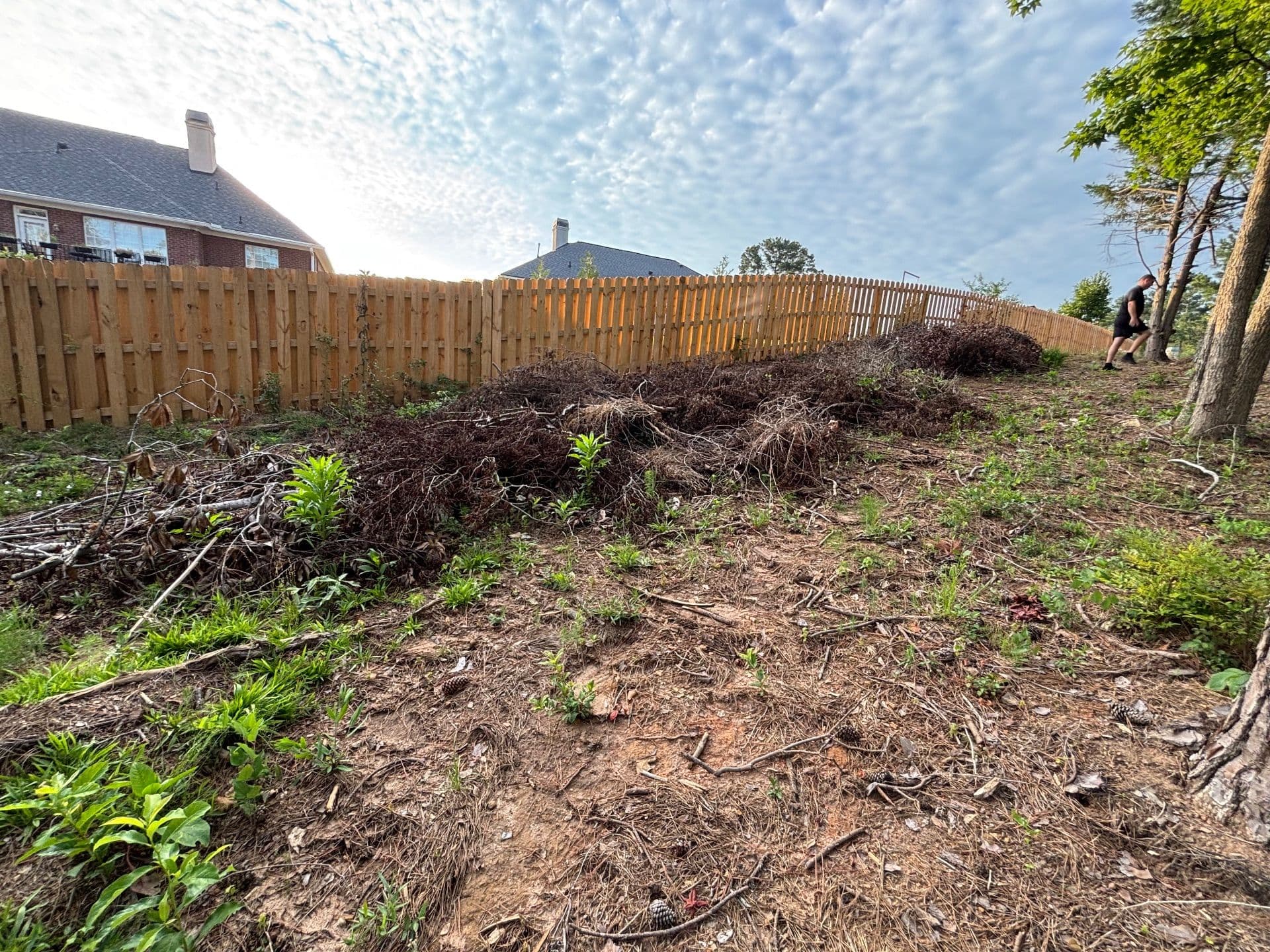 Transform Overgrown Spaces with Expert Clearing Services image