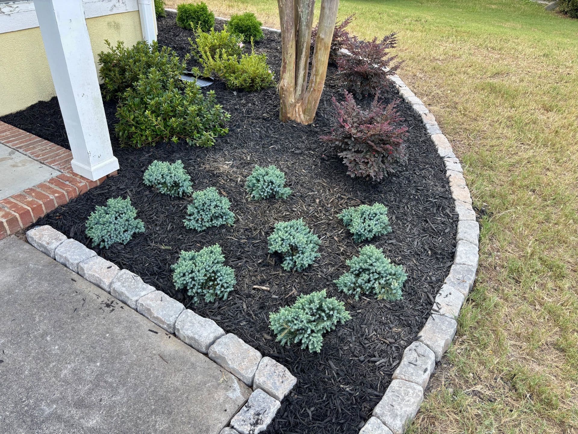 Gallery photos for Stunning Landscape Makeover in Martinez Upgrade: Image #6