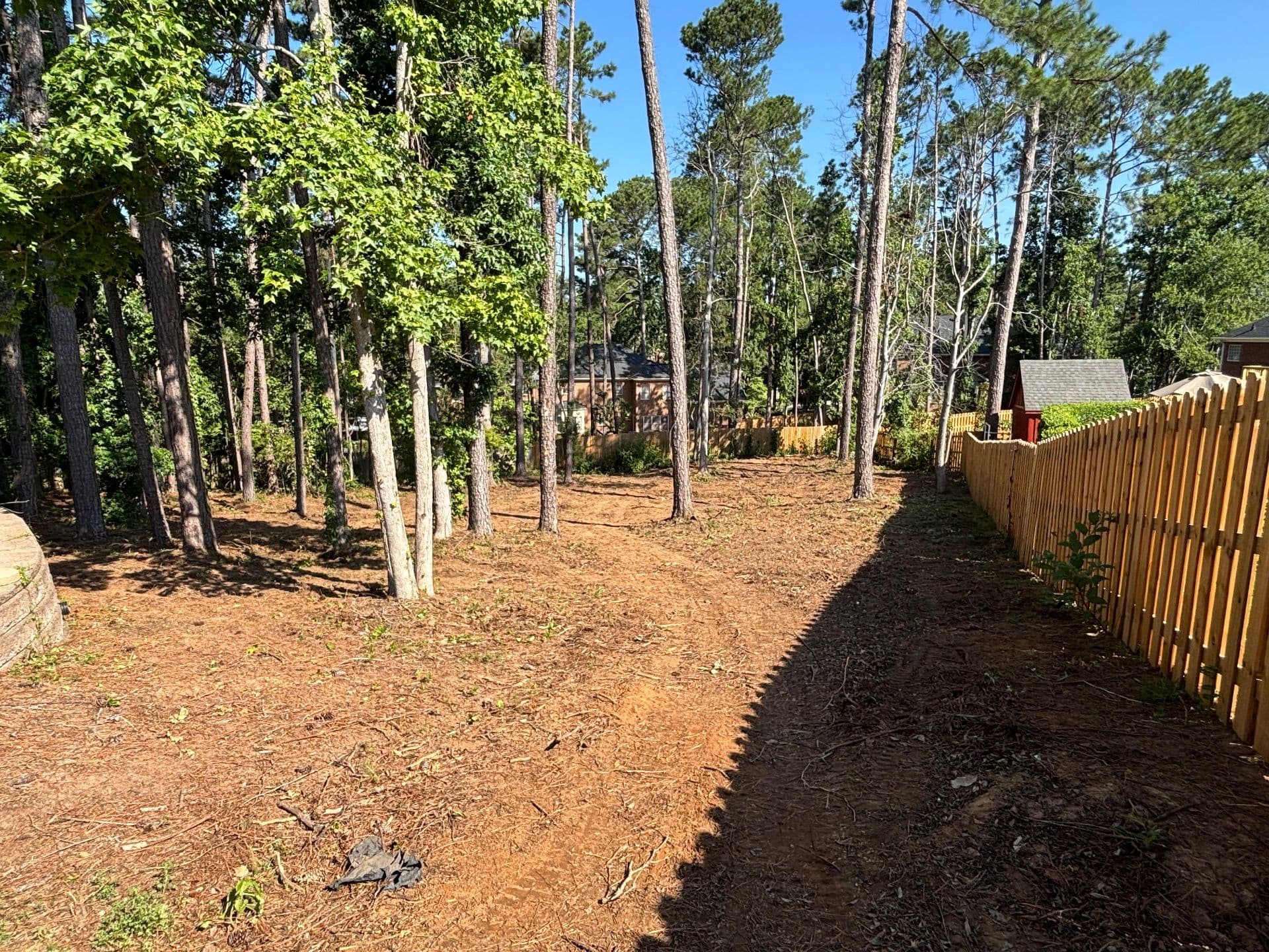 Transformative Landscape Removal Project Cleans Up Property image