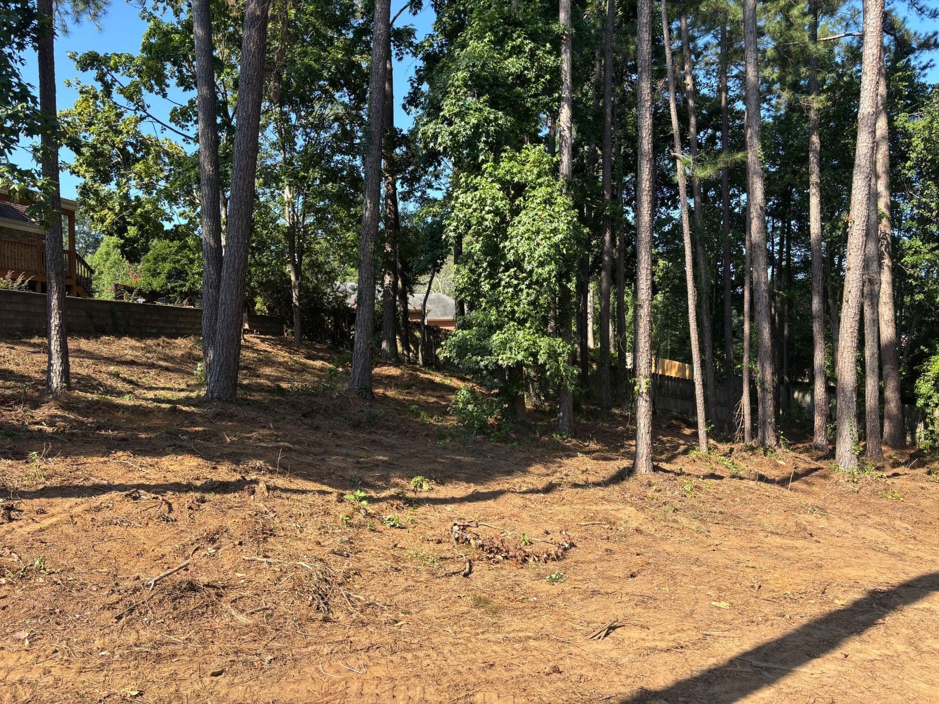 Gallery photos for Transformative Landscape Removal Project Cleans Up Property: Image #1