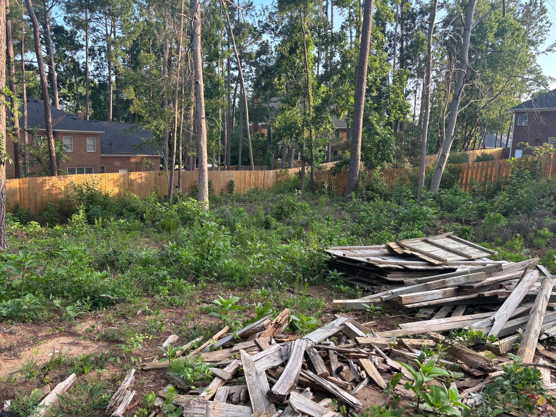 Gallery photos for Transformative Landscape Removal Project Cleans Up Property: Image #5