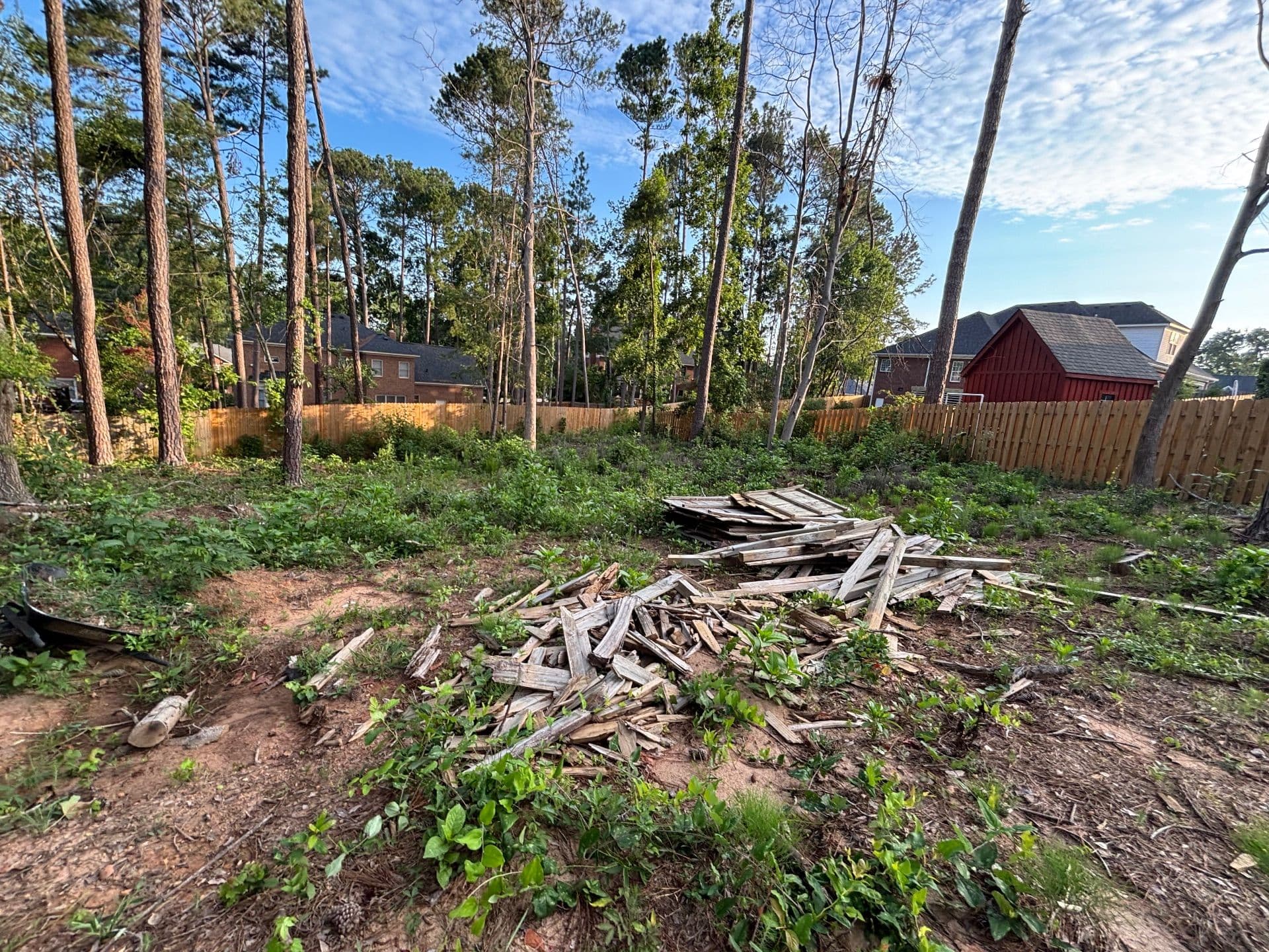 Gallery photos for Transformative Landscape Removal Project Cleans Up Property: Image #4