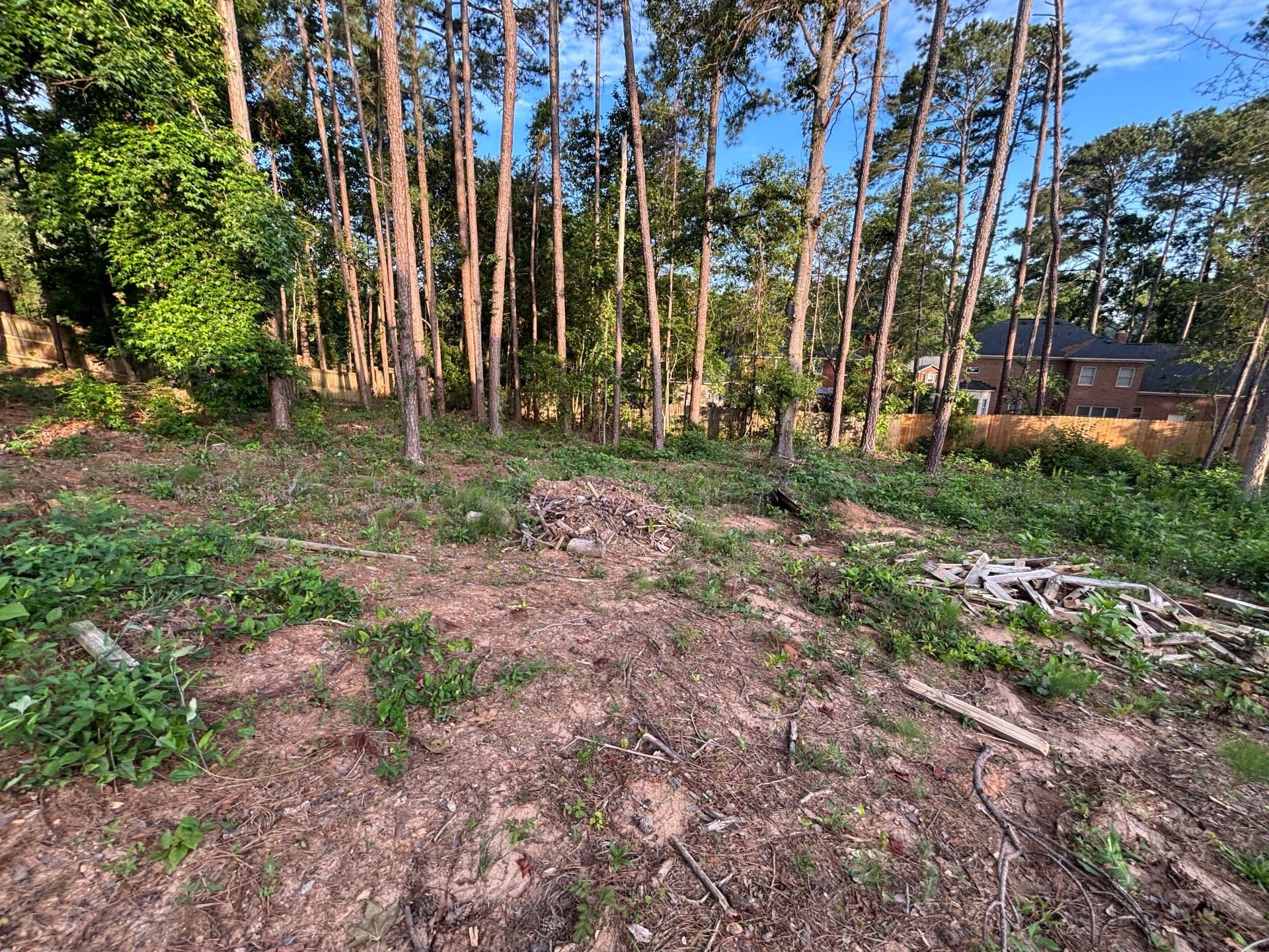 Gallery photos for Transformative Landscape Removal Project Cleans Up Property: Image #6