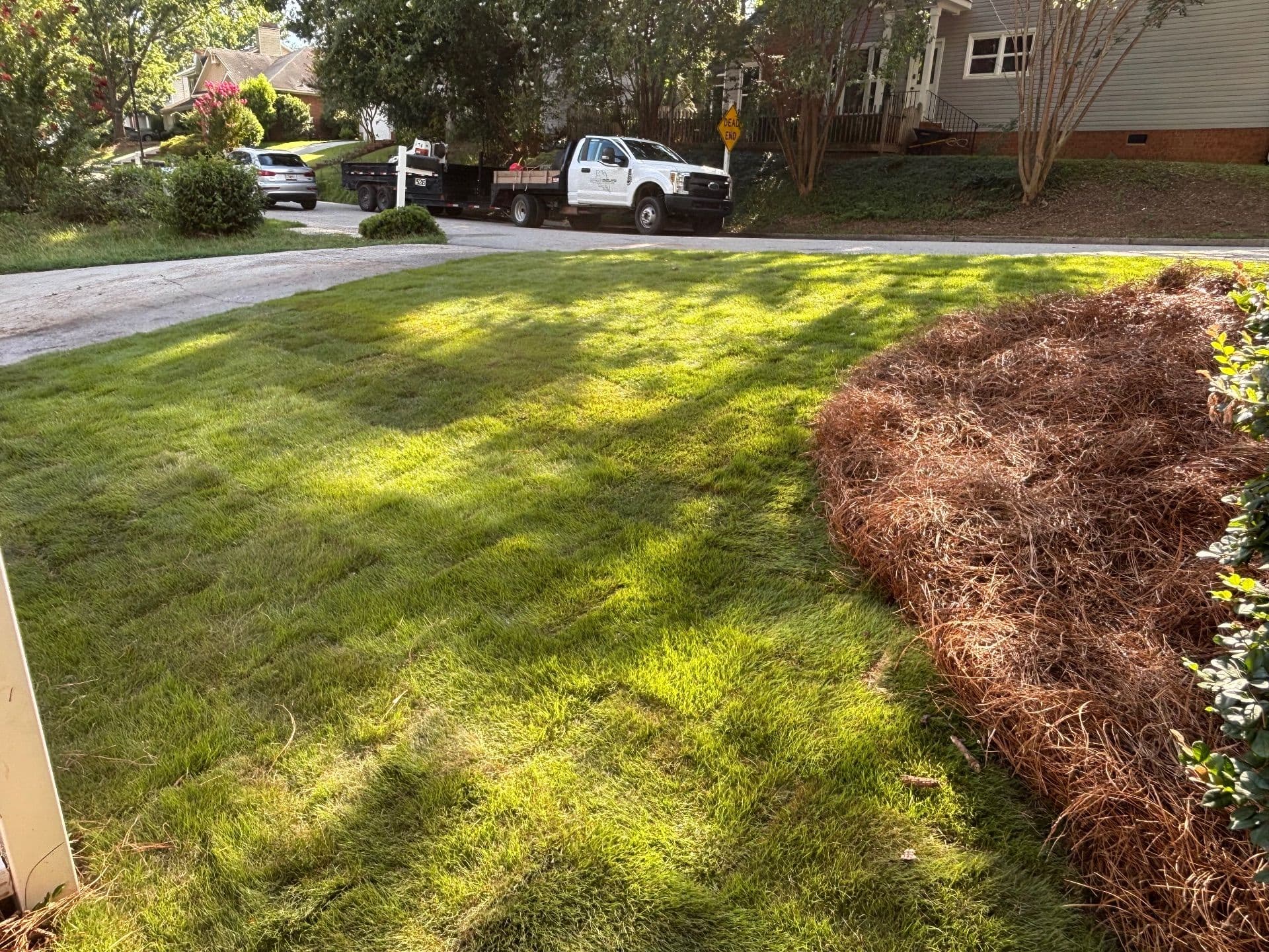 Fresh Zeon Zoysia Installation in Martinez image