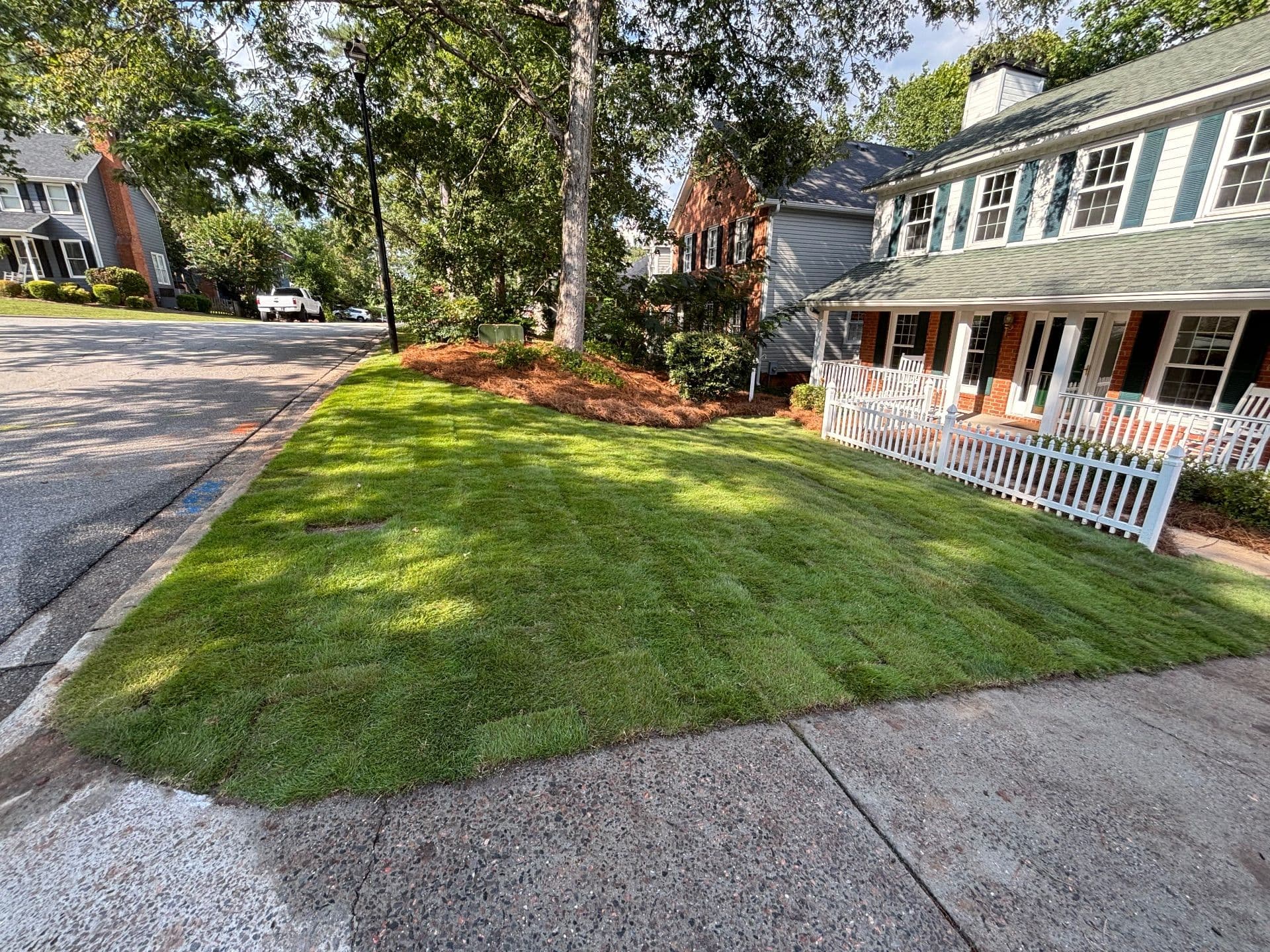 Gallery photos for Fresh Zeon Zoysia Installation in Martinez: Image #1