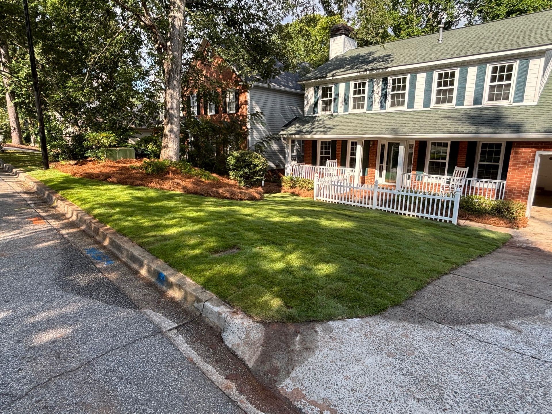 Gallery photos for Fresh Zeon Zoysia Installation in Martinez: Image #3