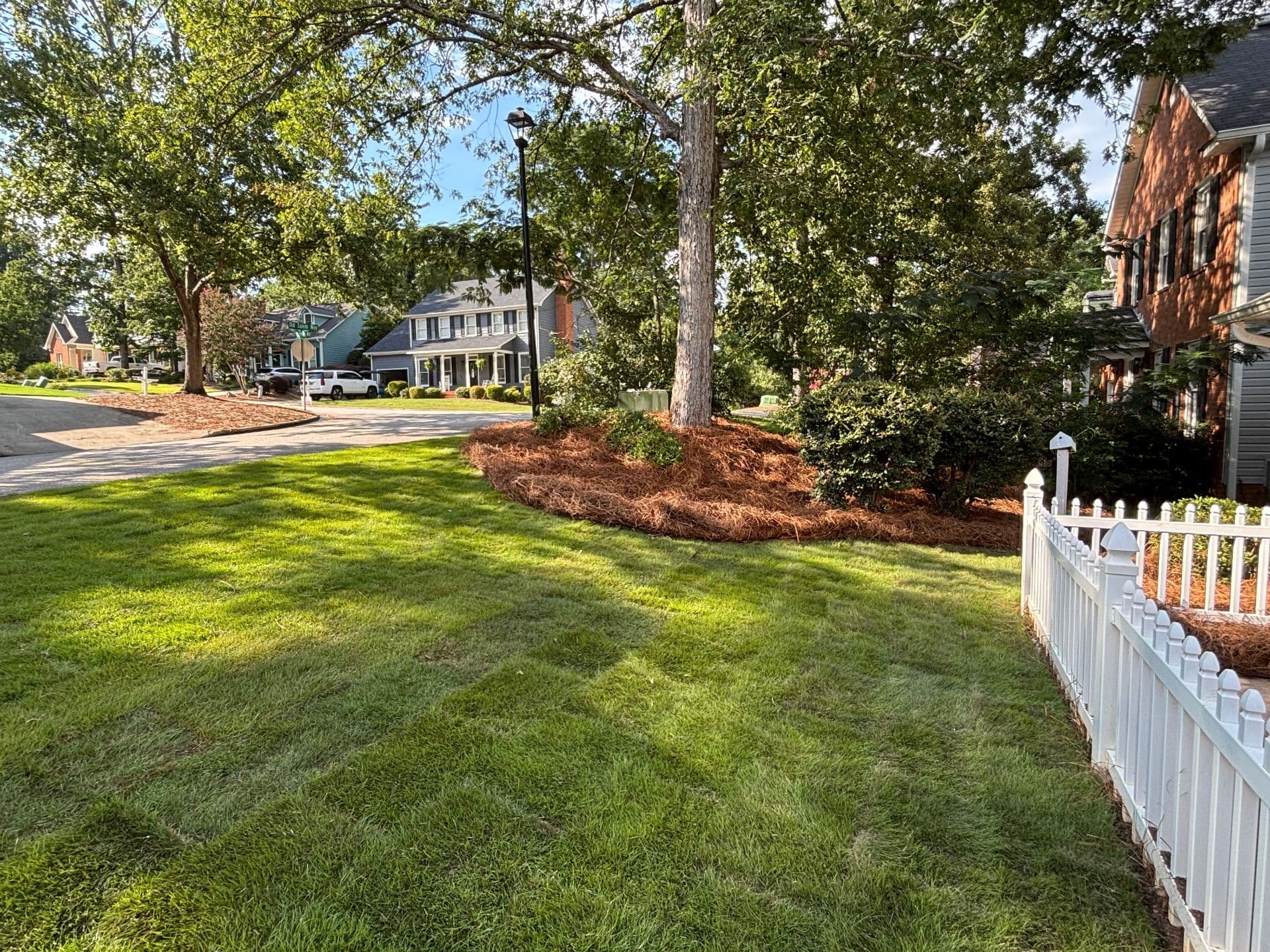 Gallery photos for Fresh Zeon Zoysia Installation in Martinez: Image #5