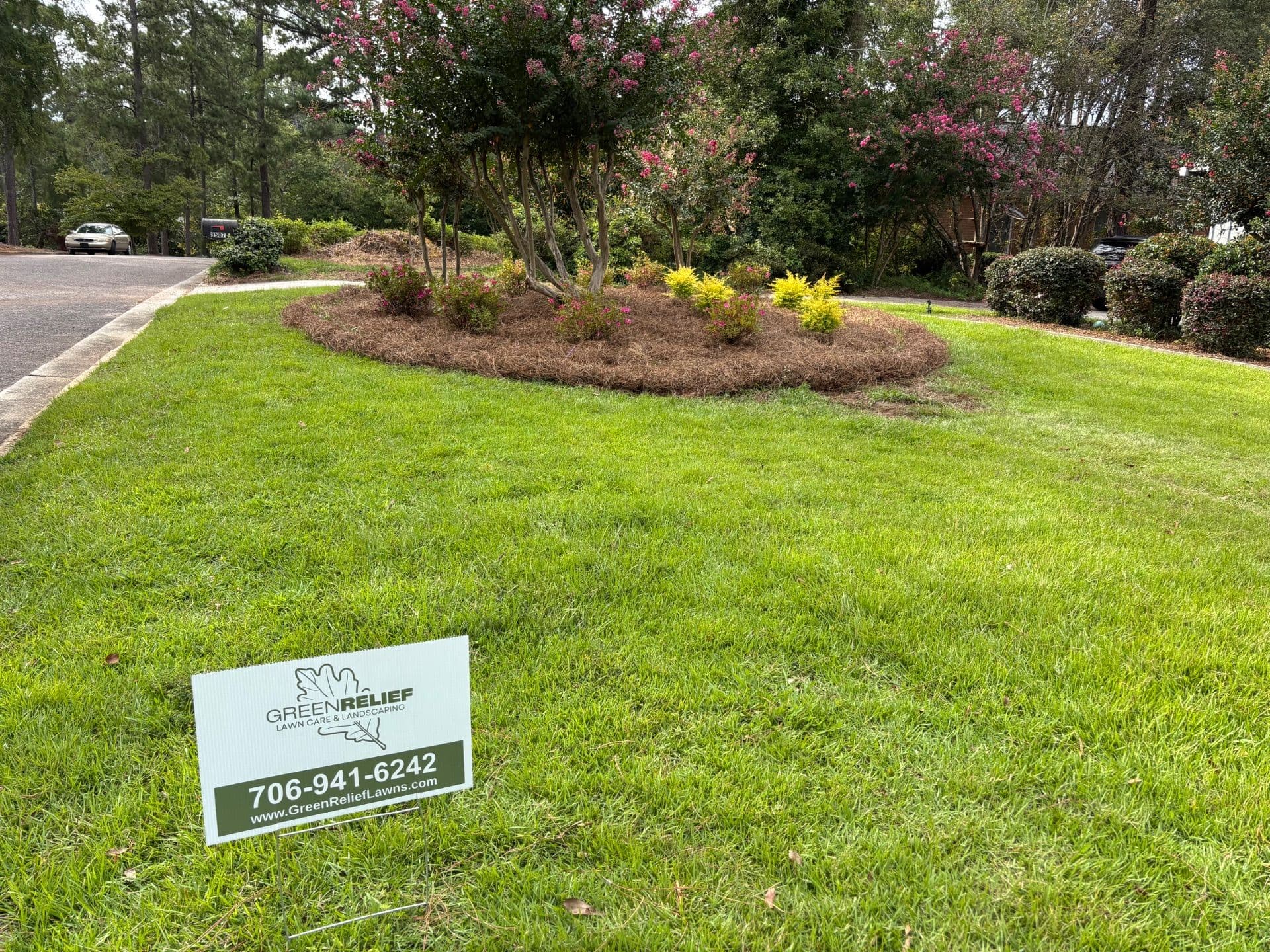 Project Stunning Azalea and Ligustrum Installation in West Lake image