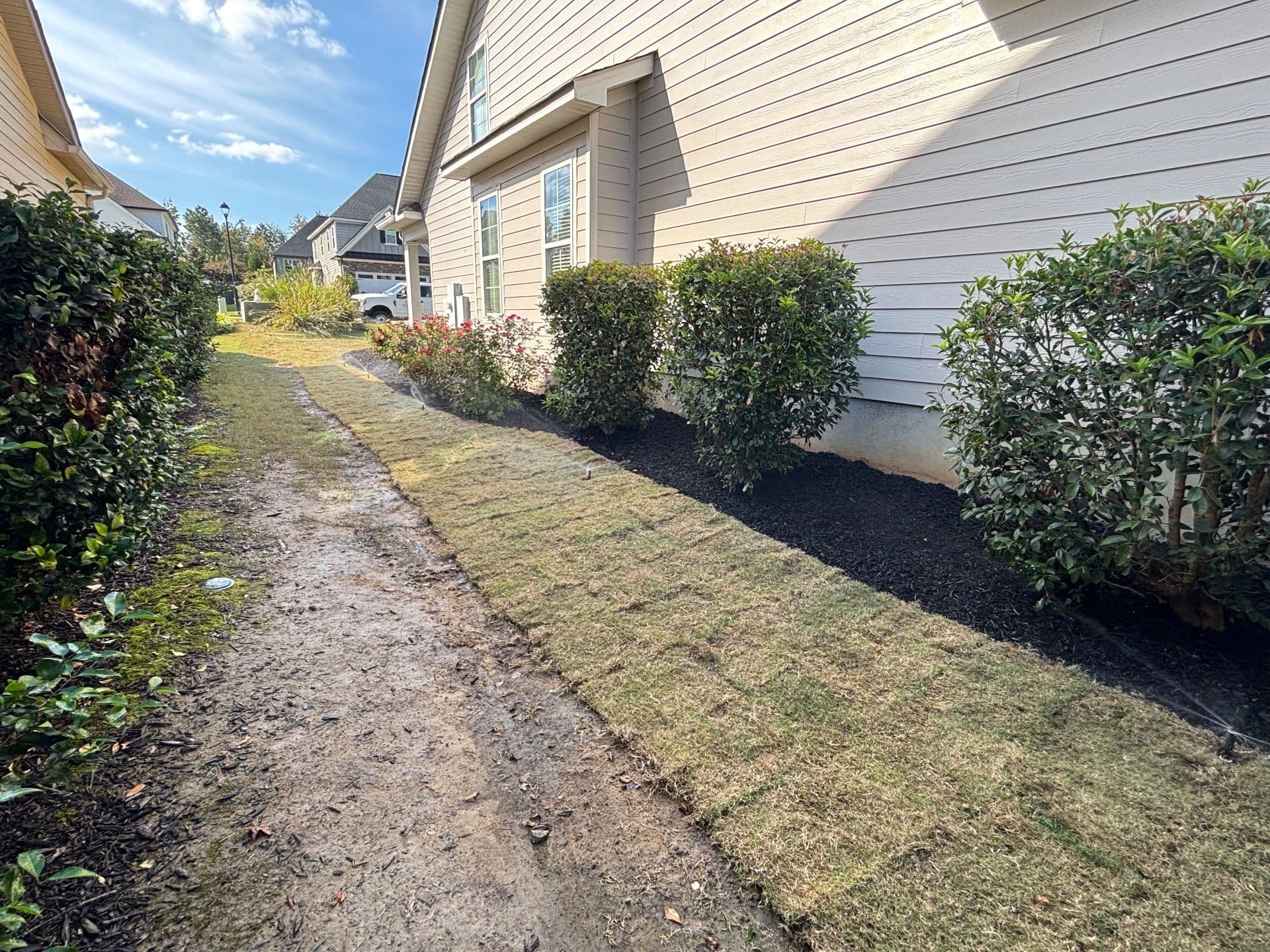 Gallery photos for Stunning Lawn Transformation with Sod Installation and Irrigation: Image #8