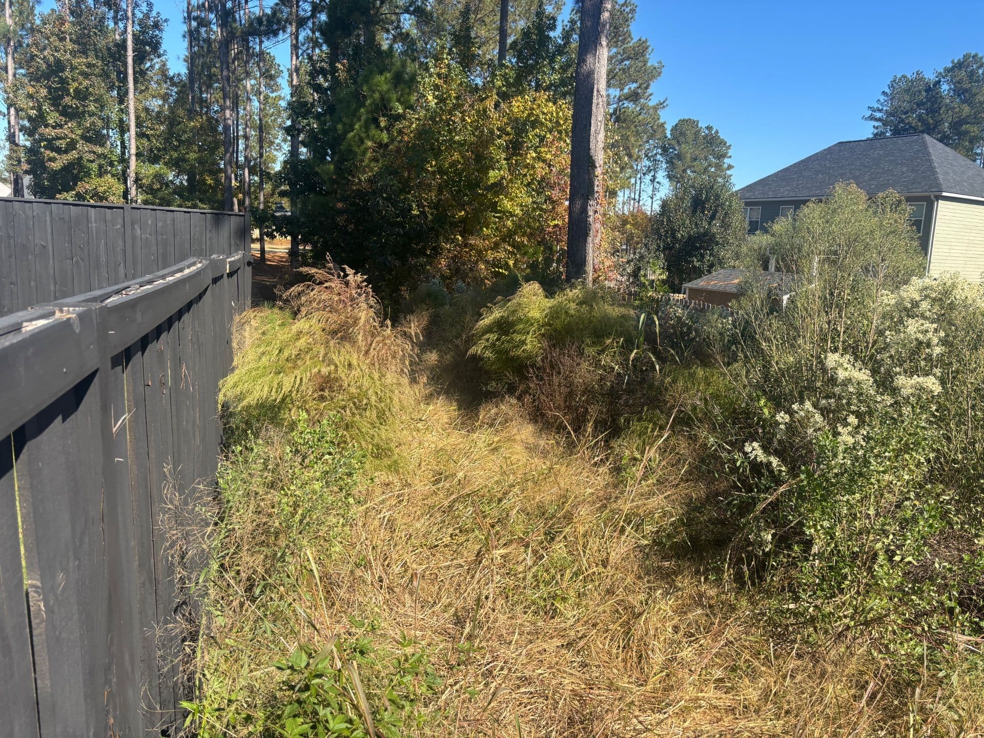 Project Bush Hogging in a Tight Spot in Grovetown image