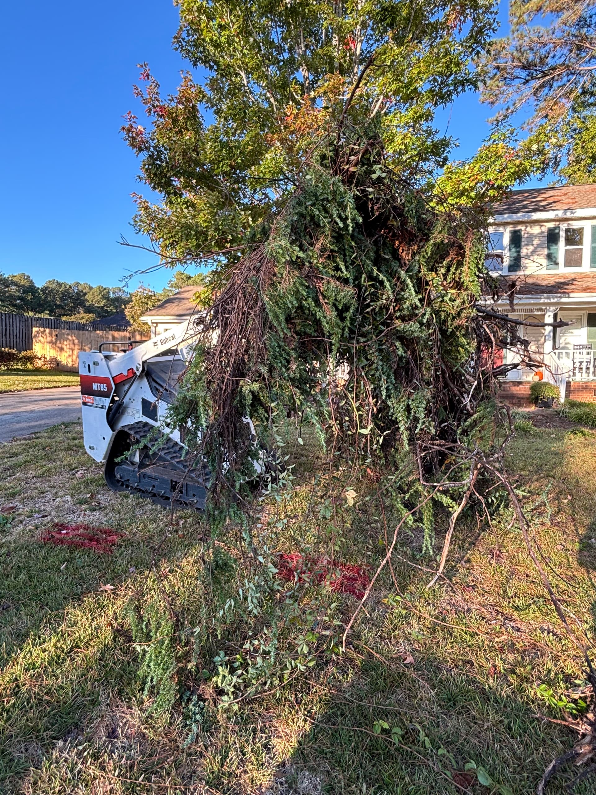 Overgrown Shrub Removal That Finally Opens Up the Front Yard