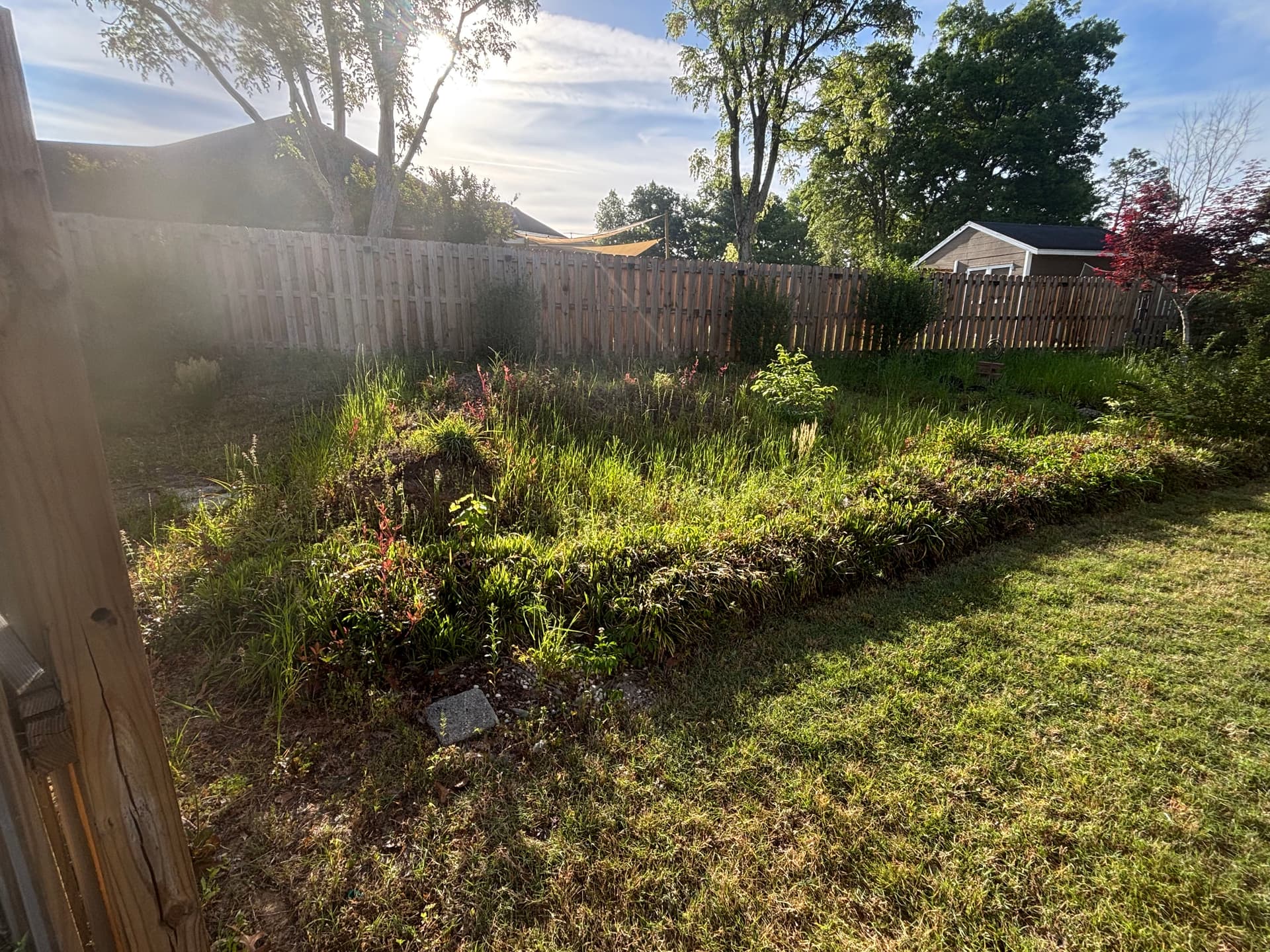 Landscape Renovation in Progress in North Augusta SC image