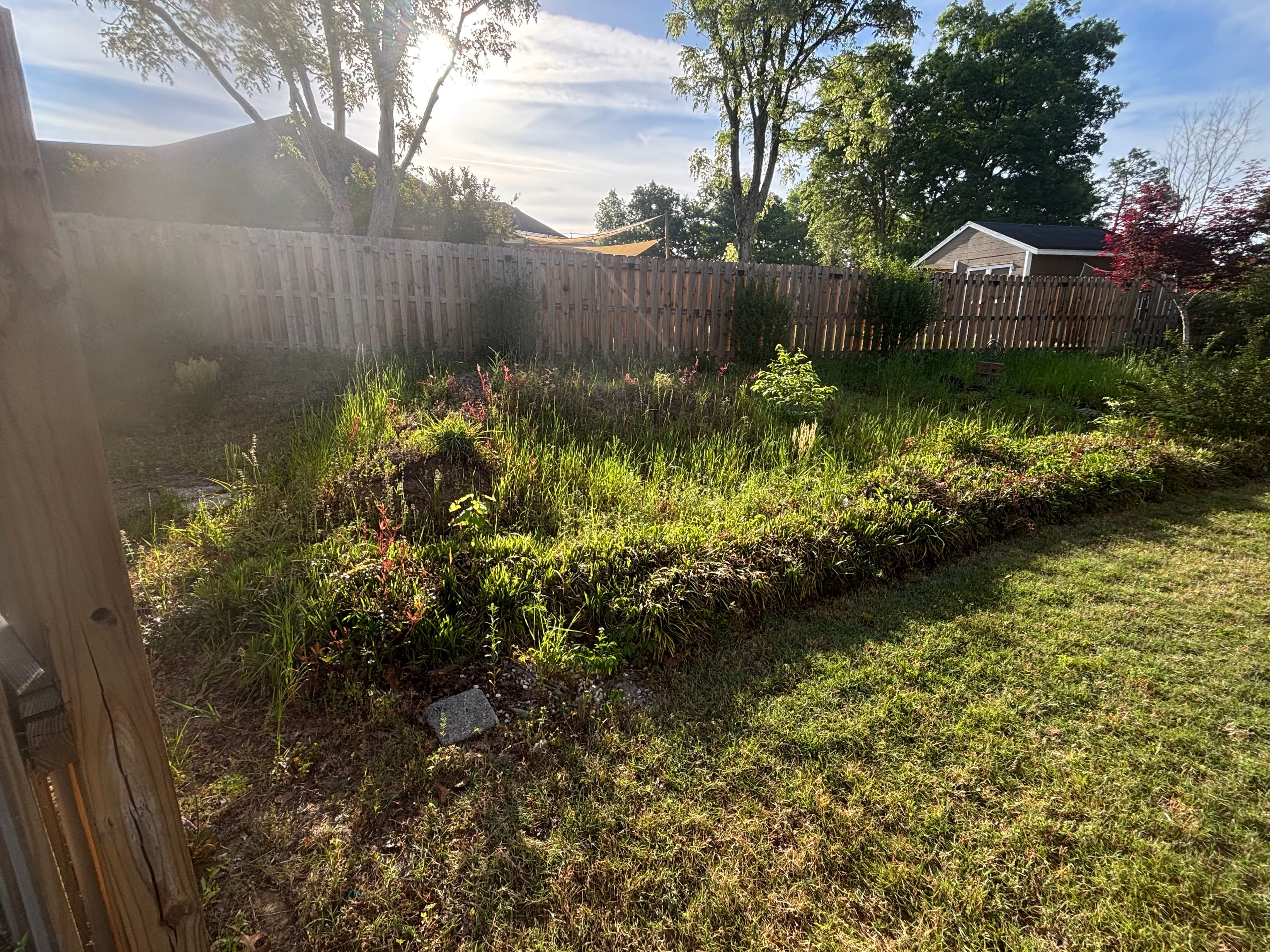 Project Landscape Renovation in Progress in North Augusta SC image