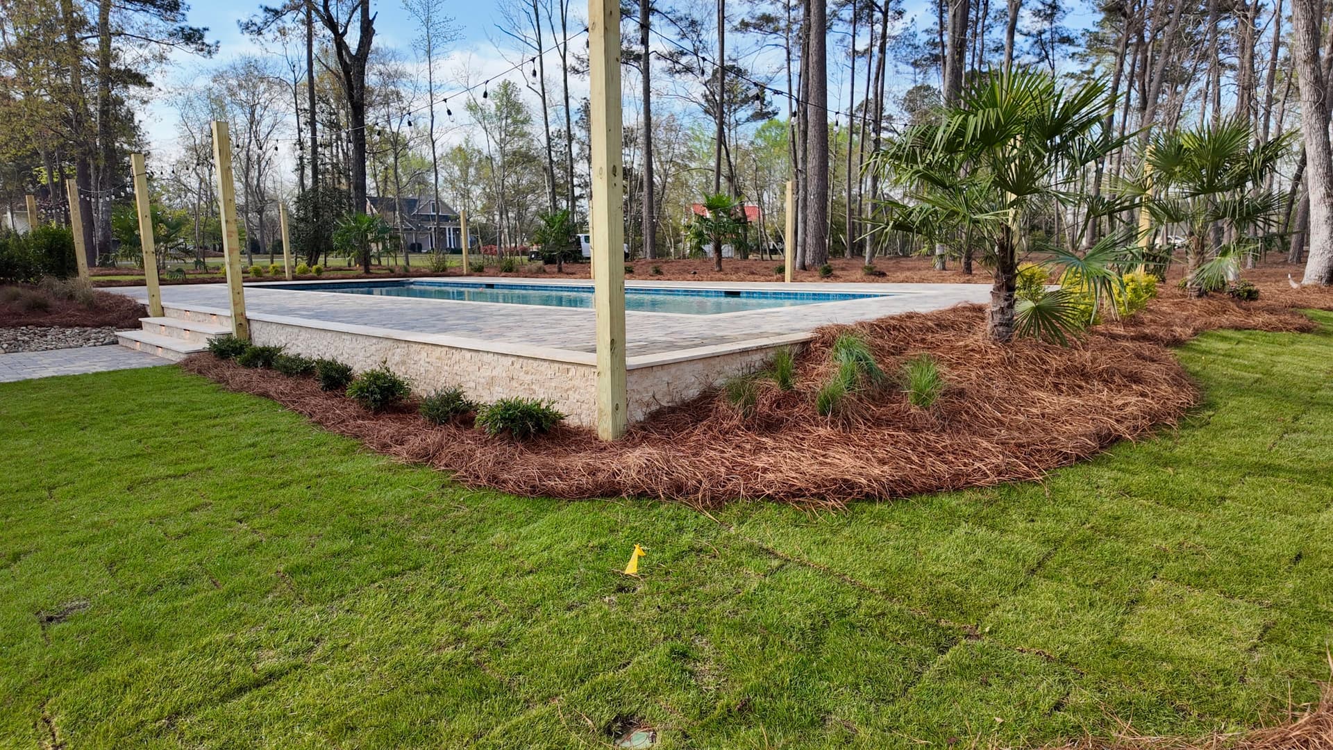 Elevating Poolside Spaces with Lush Landscapes image