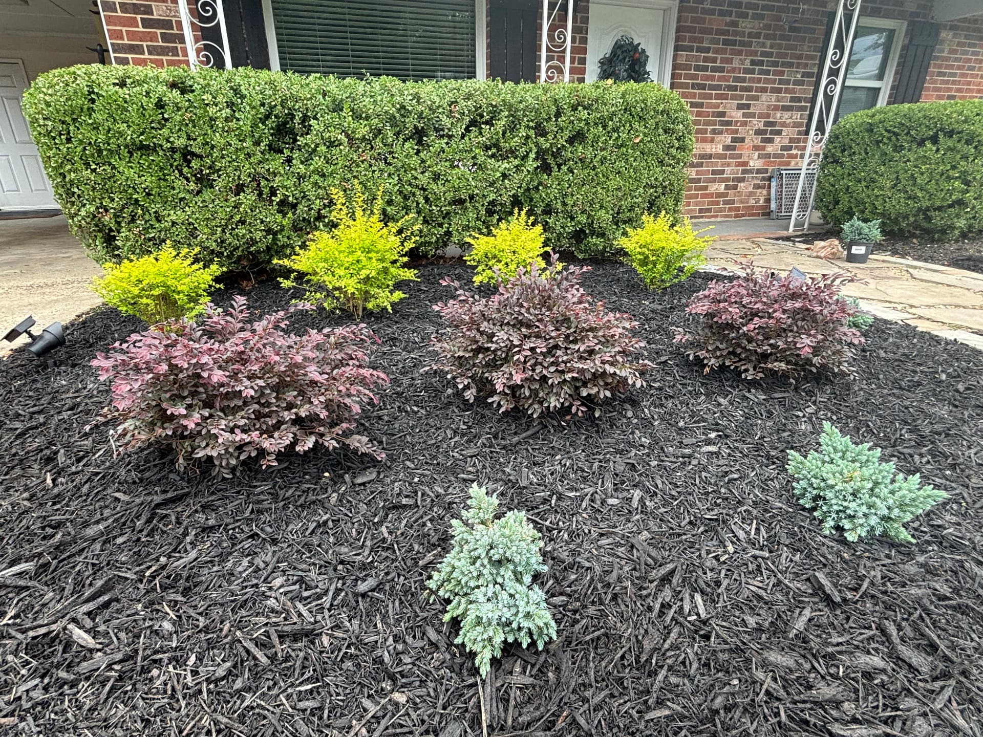 Enhancing Garden Borders with Vibrant Touches