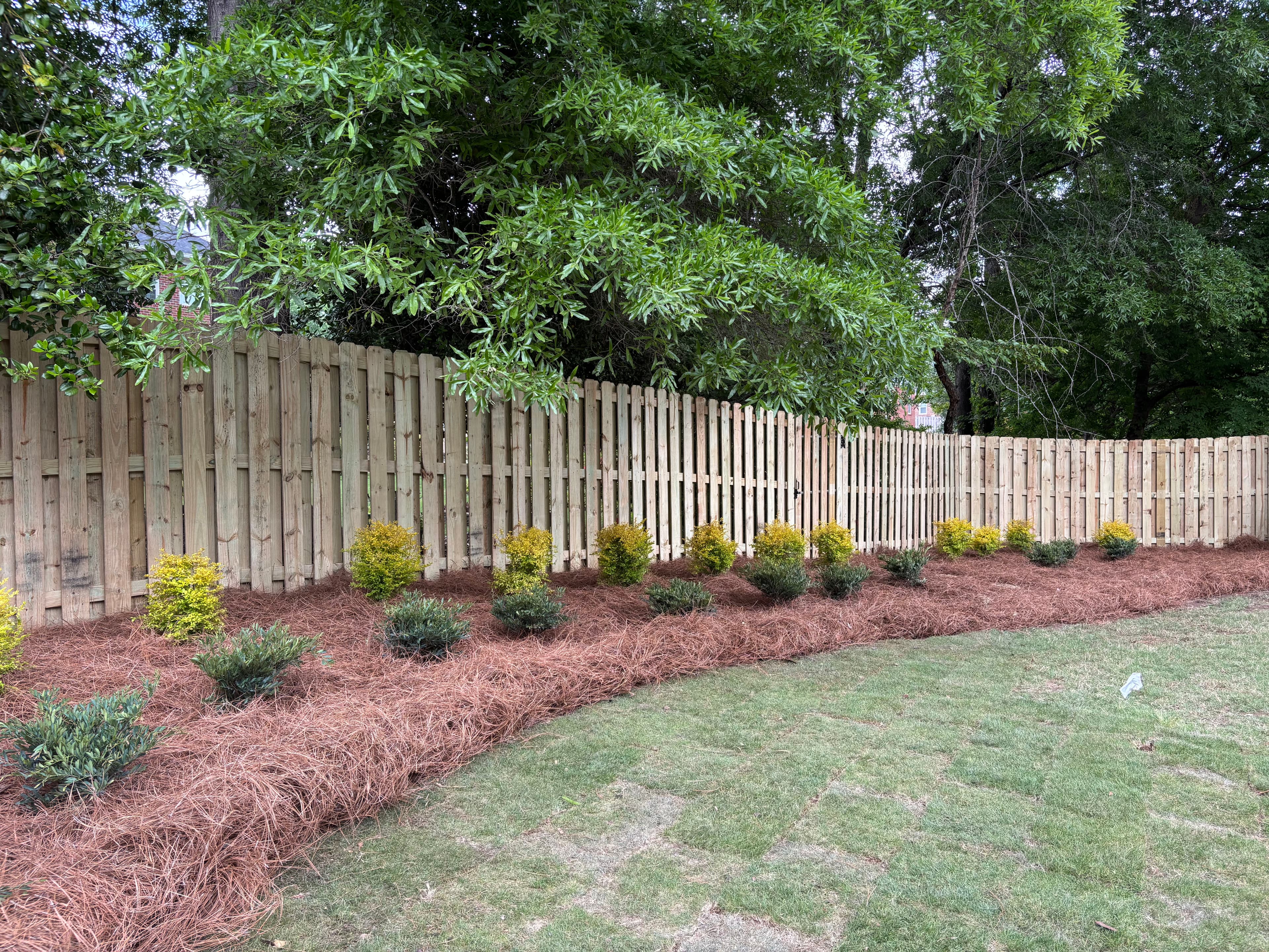 Project Privacy Fence, Fresh Sod and New Landscaping Bed in Chattanooga TN image