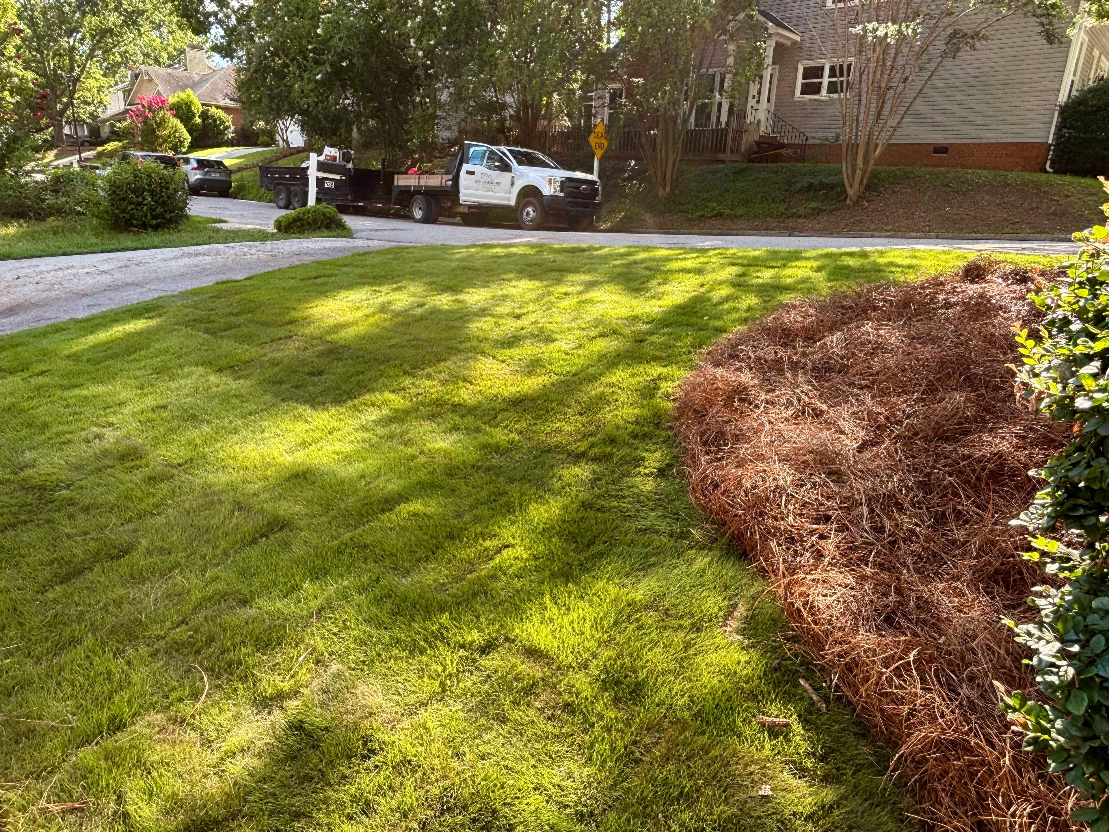 Project Zoysia Sod and Fresh Pine Straw - The Perfect Pair image