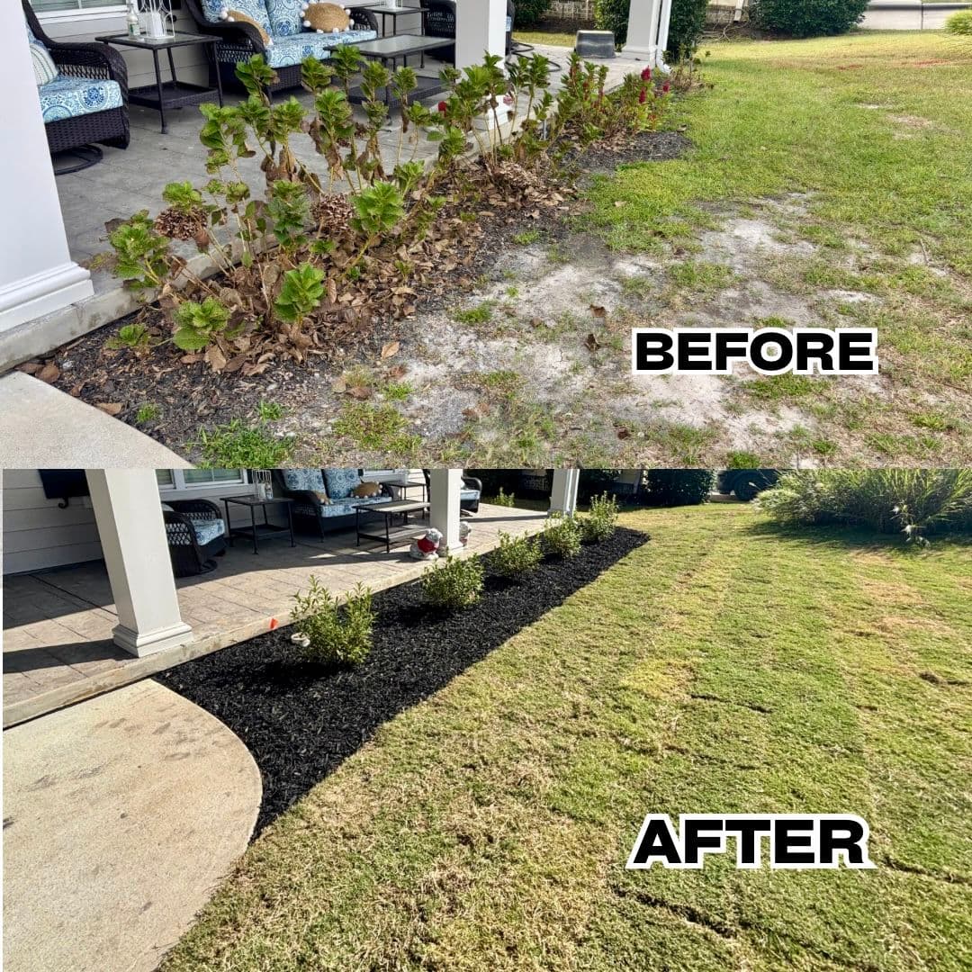 Landscaping Makeover with Fresh Sod and Beds