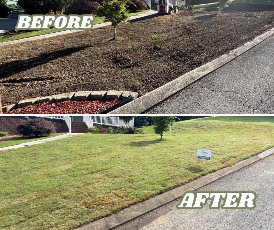 Bare Dirt Front Yard Gets a Full Sod Installation image