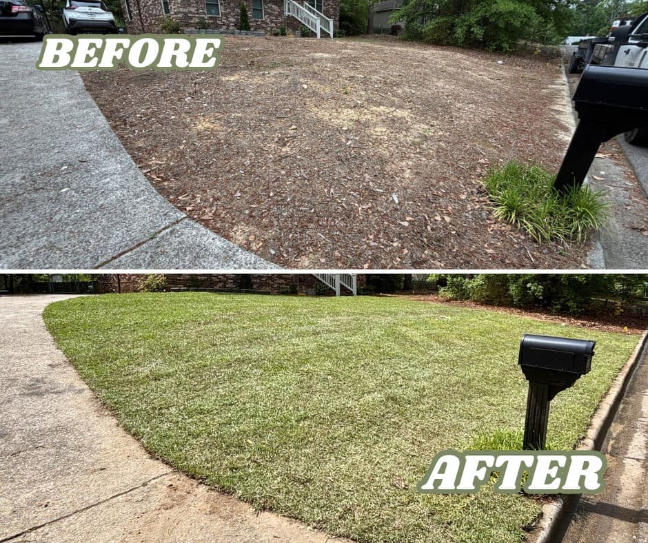 Dead Front Yard Gets a Full Reset With Centipede Sod image