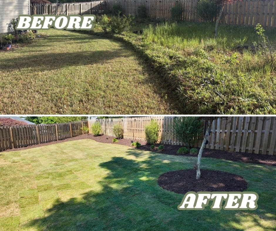 Overgrown Backyard Cleaned Up with Fresh Sod and Mulch Beds image
