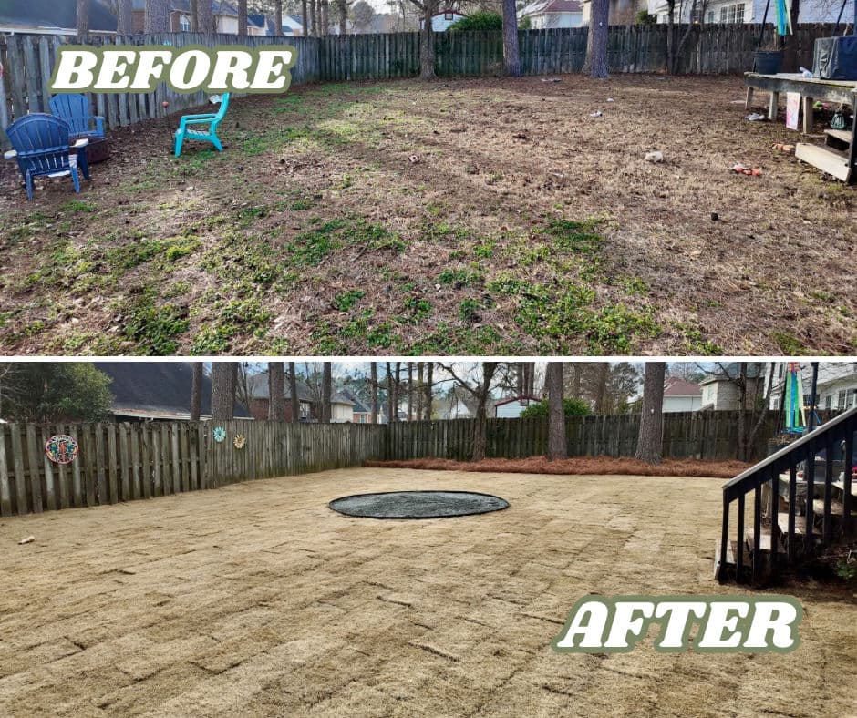 Lush Lawn Transformation with Zoysia Sod image