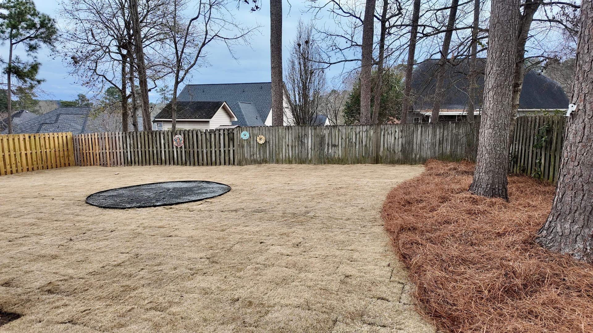 Backyard Makeover with New Zoysia Sod and Fire Pit