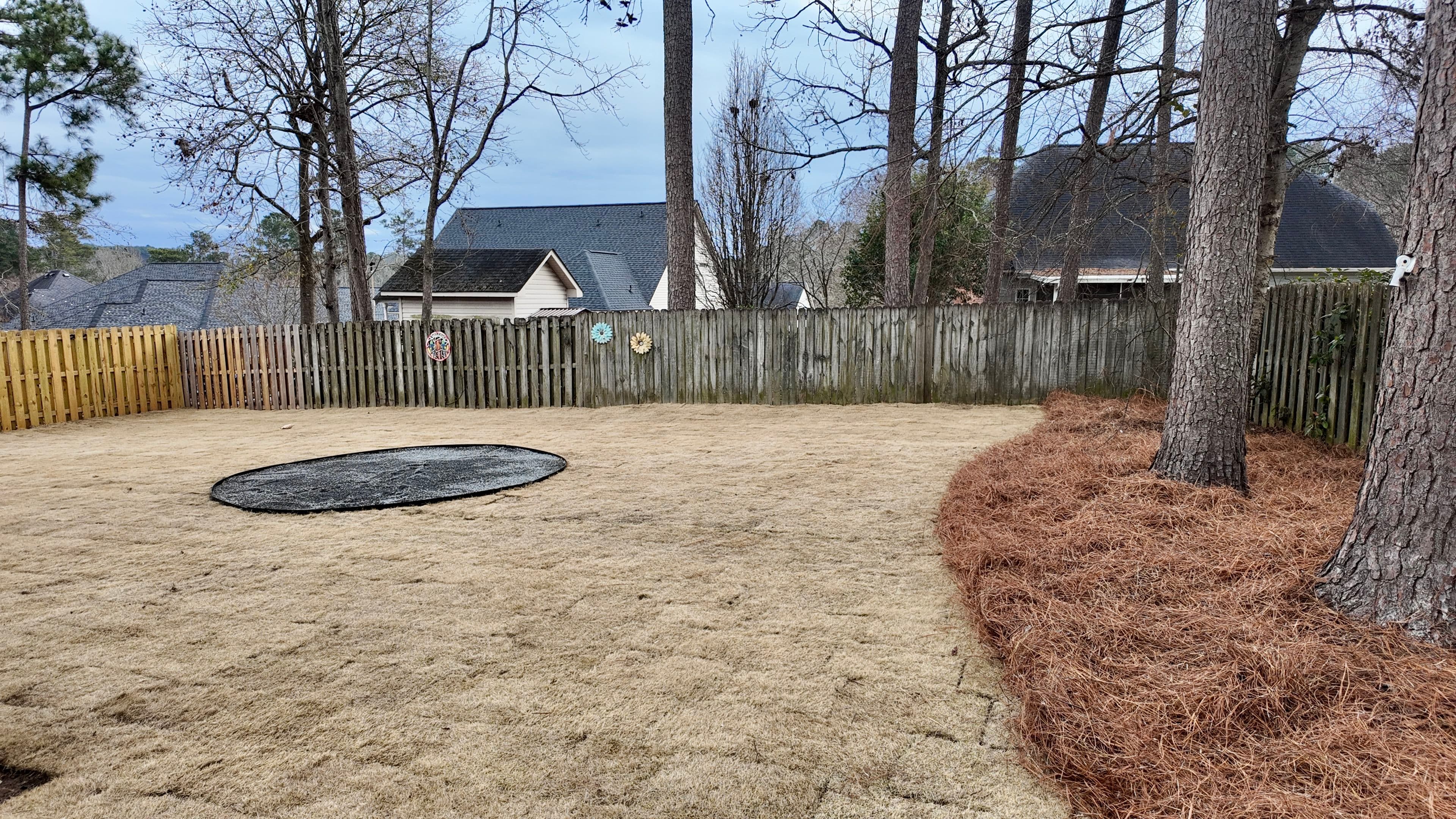 Project Backyard Makeover with New Zoysia Sod and Fire Pit image