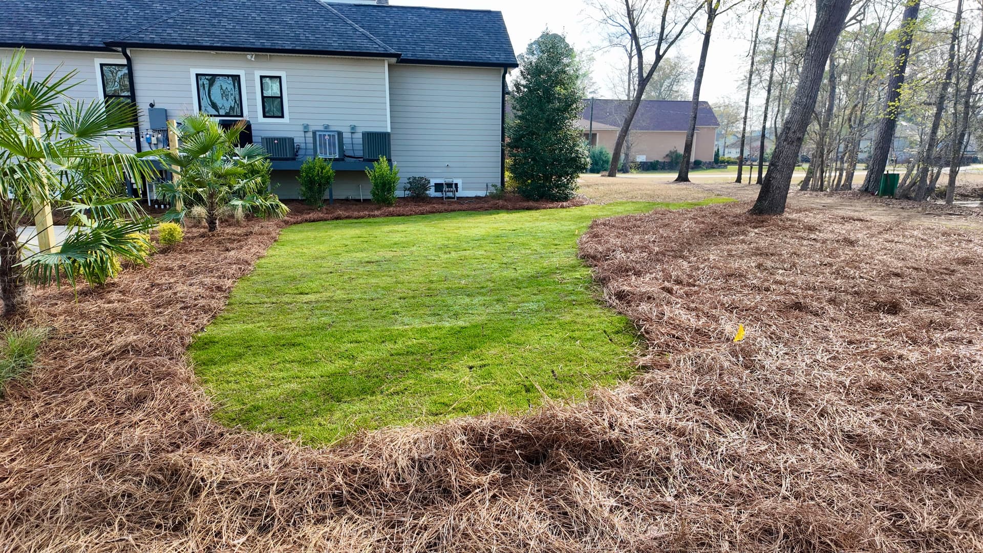 Gallery photos for Elevating Poolside Spaces with Lush Landscapes: Image #1