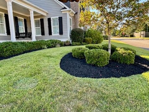 Gallery photos for Grovetown Curb Appeal Boost with Fresh Mulch: Image #2