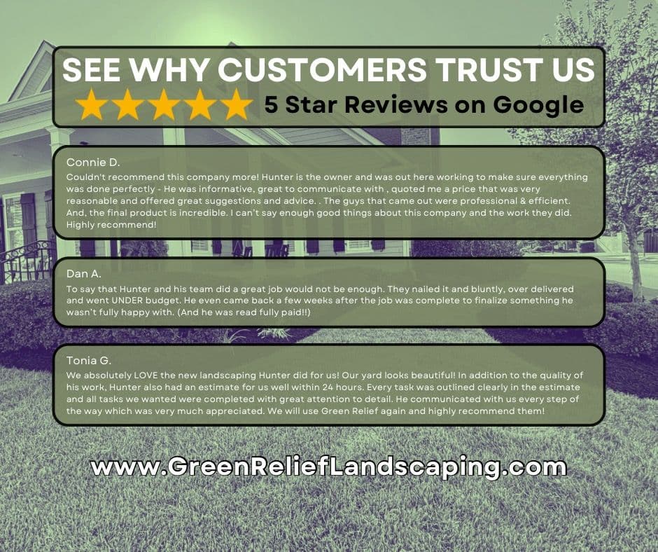 Celebrating 5 Star Customer Reviews image