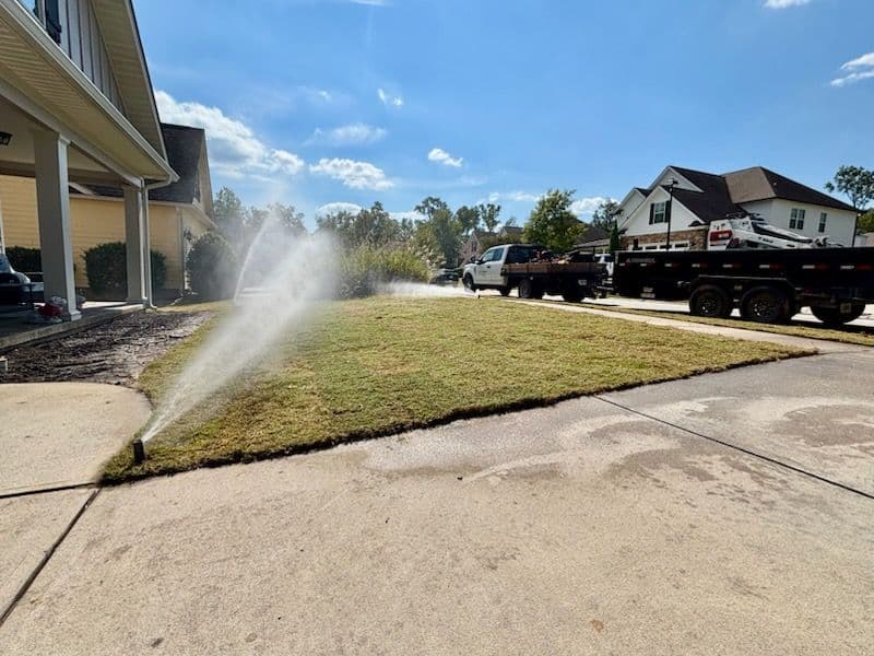 Gallery photos for Complete Lawn Transformation with Expert Touch: Image #3