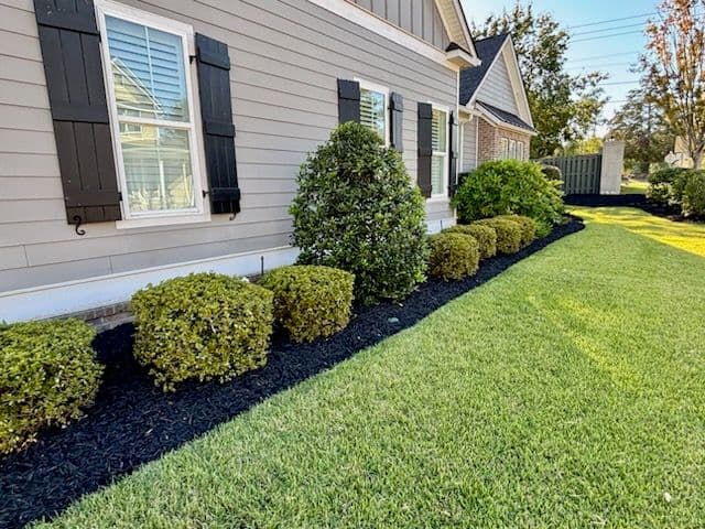 Lush and Inviting Mulch Bed Refresh image