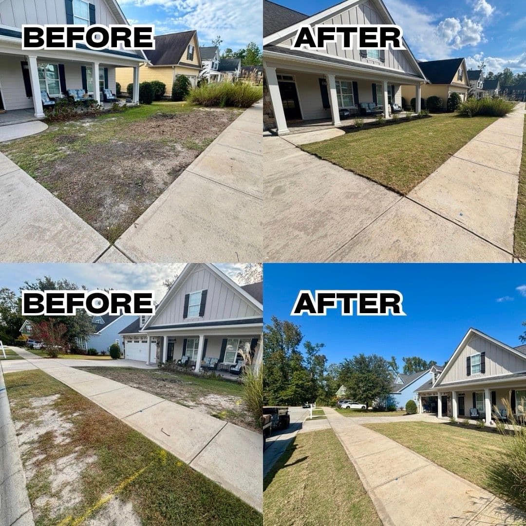 Transforming a Patchy Yard into a Perfect Lawn image