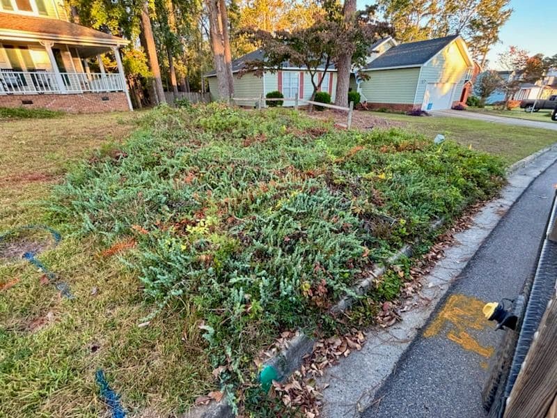 Project Sod Installation and Curb Appeal Update image