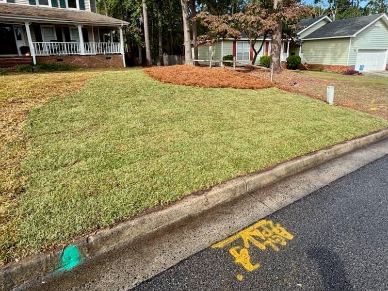 Gallery photos for Sod Installation and Curb Appeal Update: Image #1