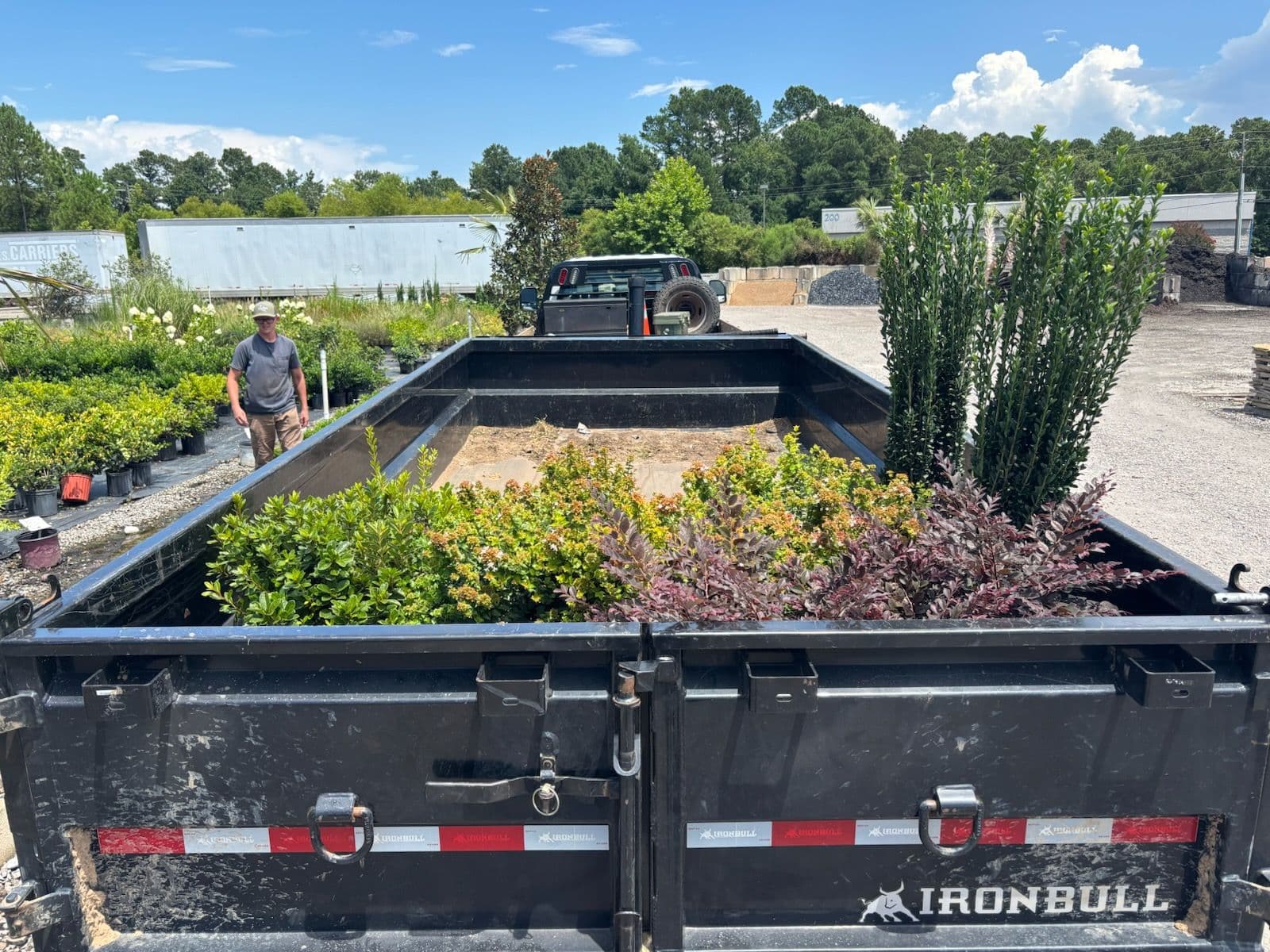 Fresh Planting Day Enhances Martinez Home image
