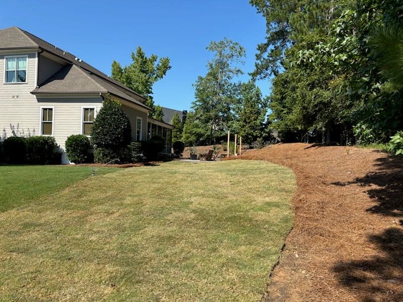 Beautiful Lawn Transformation with Fresh Sod image