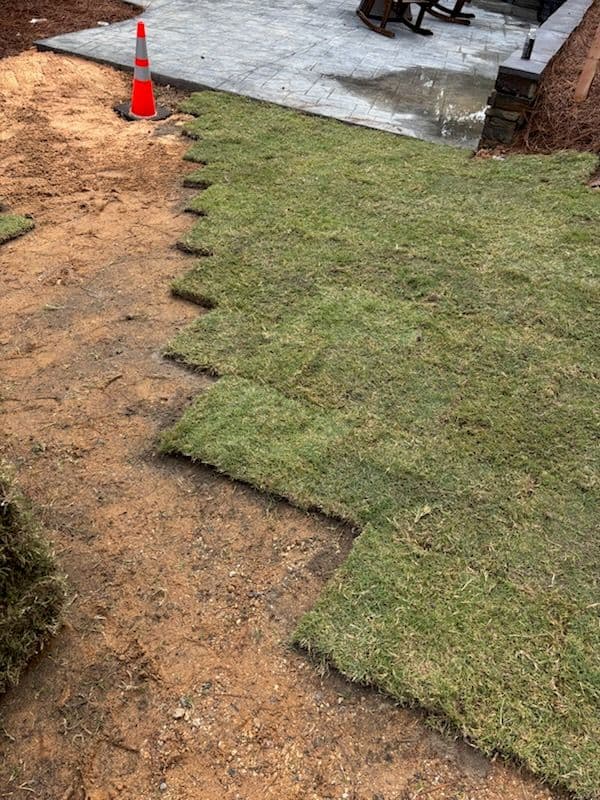 Gallery photos for Beautiful Lawn Transformation with Fresh Sod: Image #1