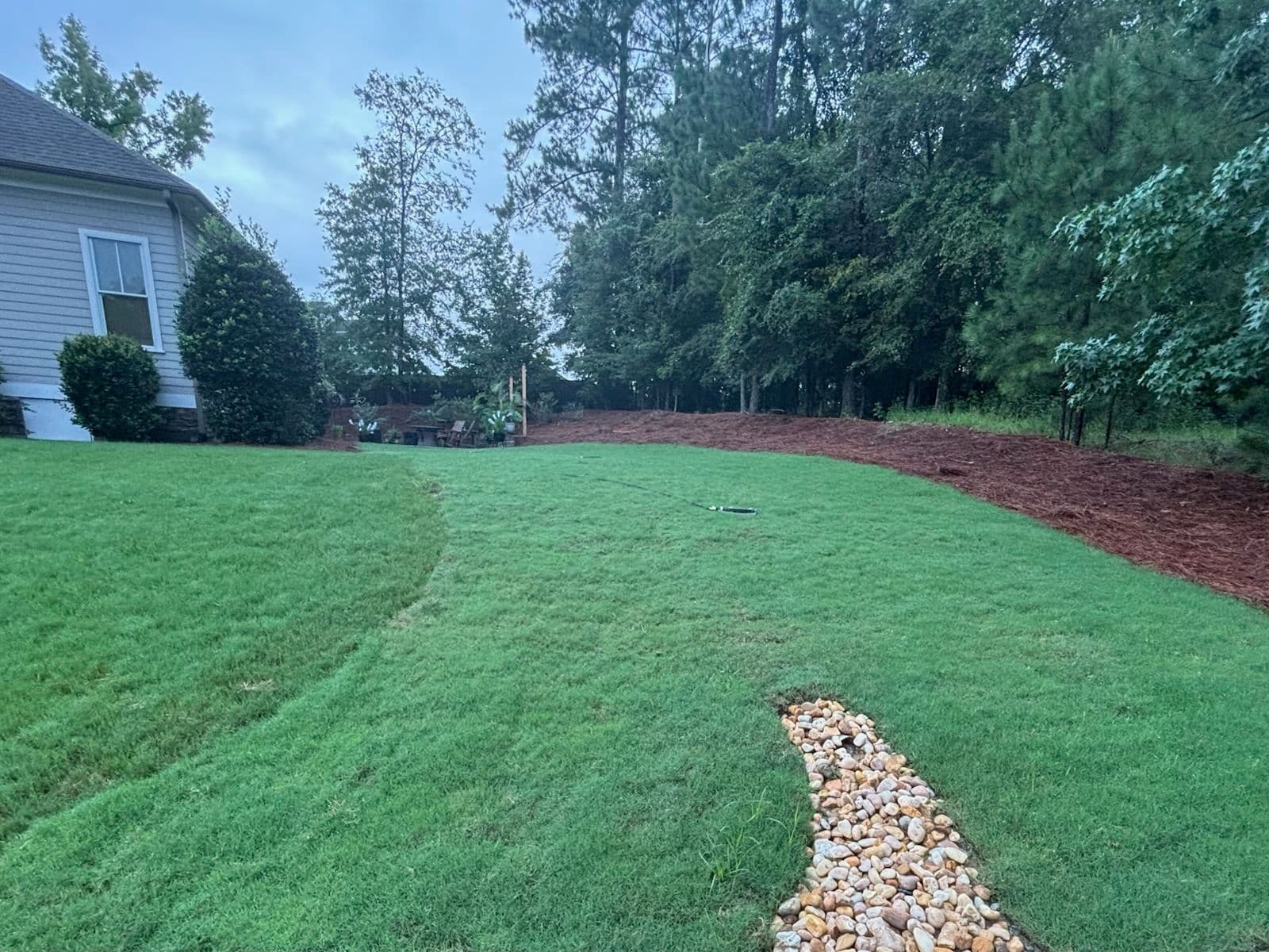 Lush, Vibrant New Sod Installation Success image