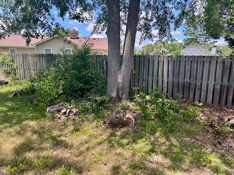 Stunning Backyard Transformation Boosts Curb Appeal image
