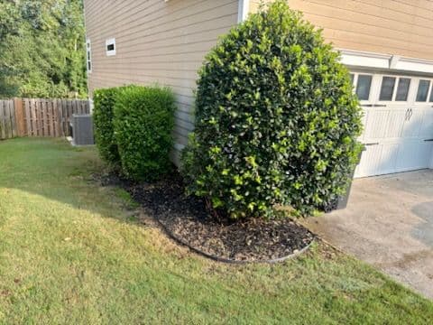 Gallery photos for Transform Your Lawn with Fresh Bermuda Sod: Image #2