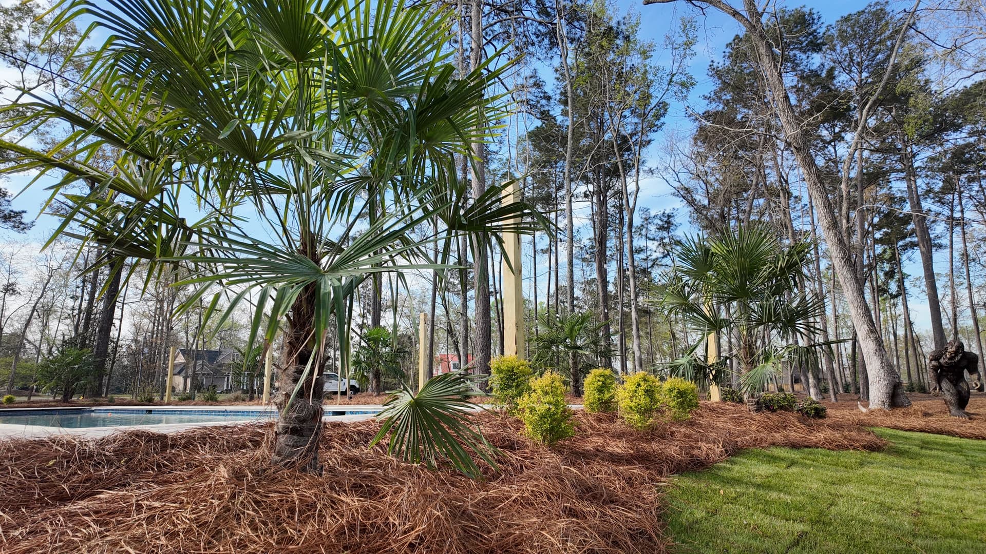Backyard Paradise with Green Relief Landscaping image
